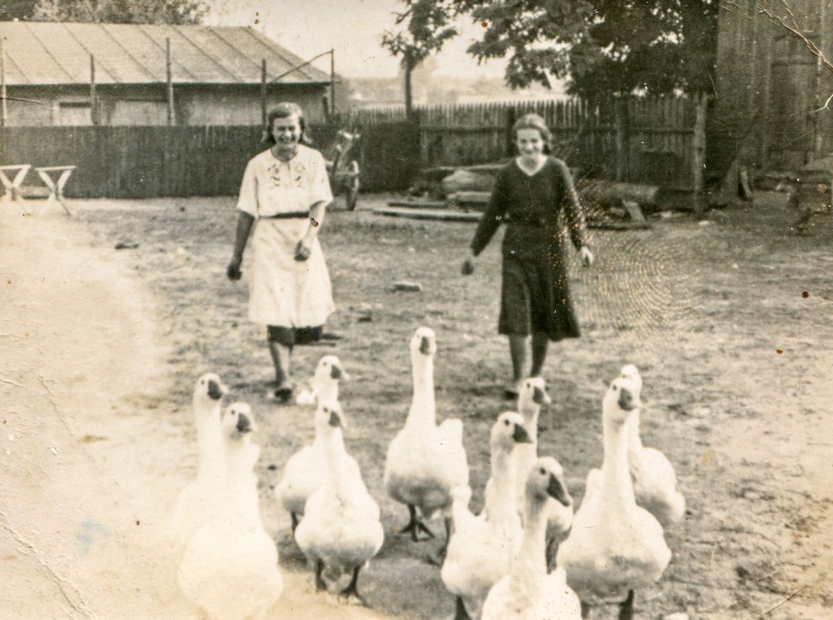 diéta nélkül is vékony parasztlányok ludakat hajtanak