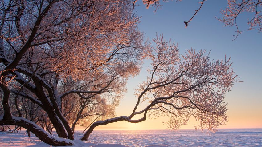 Kvíz kérdést ábrázoló kép.