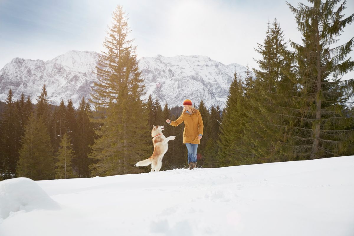 Napi horoszkóp 2026. január 20