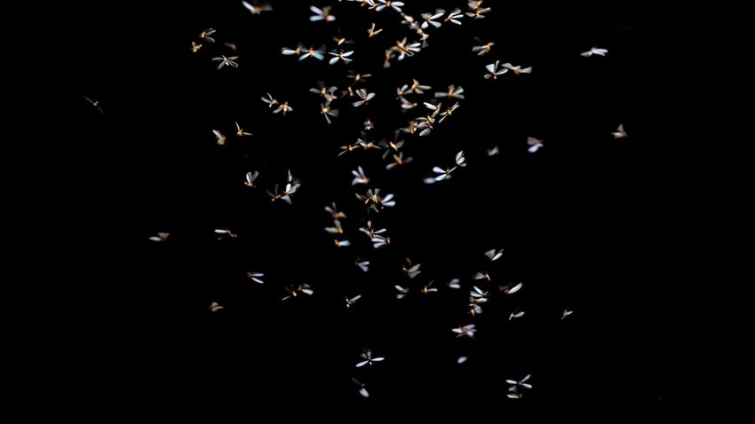 Kvíz kérdést ábrázoló kép.