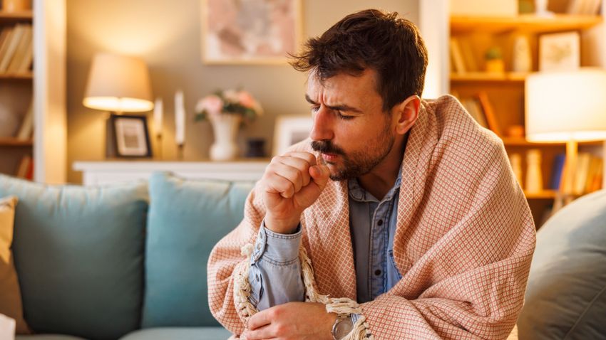 Kvíz kérdést ábrázoló kép.