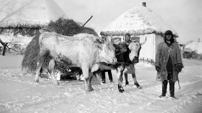 Kvíz kérdést ábrázoló kép.