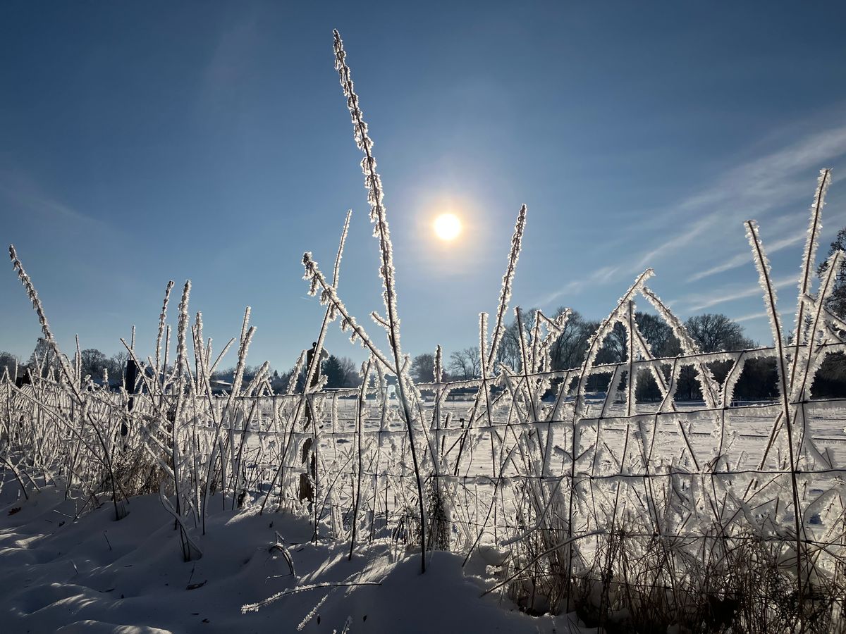  Időjárás: az ország nagy részén a hóval borított talaj továbbra is őrzi a hideget.