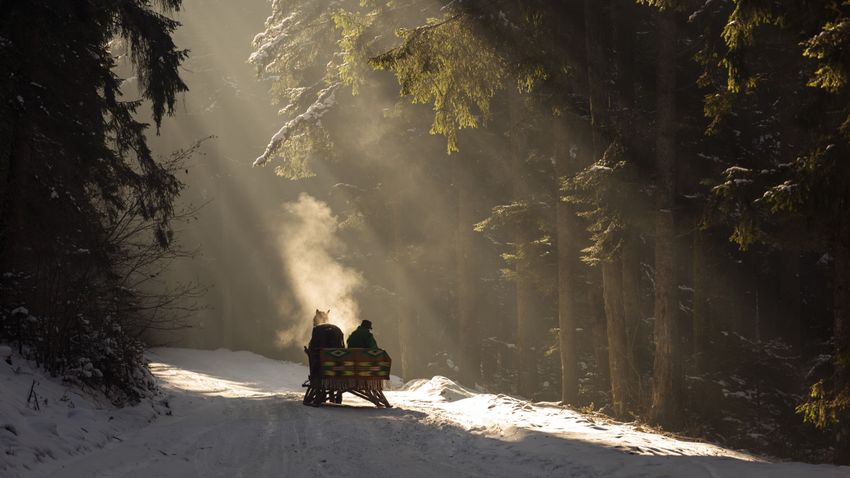 Kvíz kérdést ábrázoló kép.