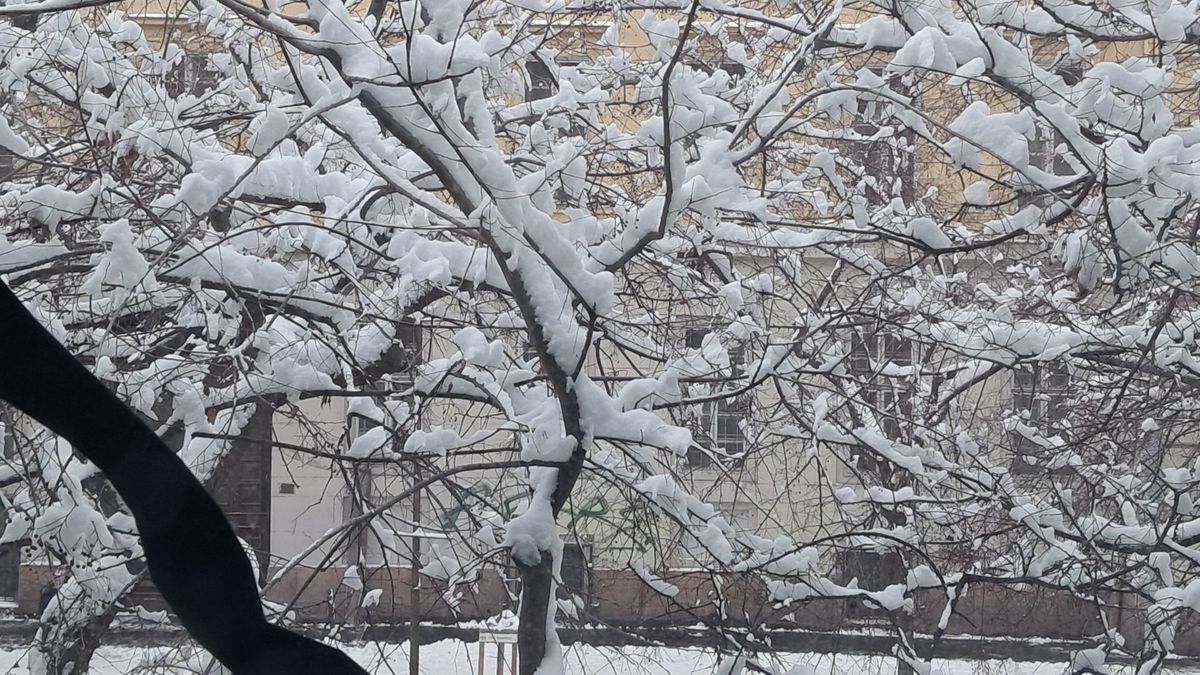 Mindenhol hó: téli mesevilággá változott az ország 