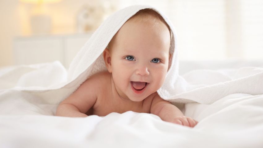 Kvíz kérdést ábrázoló kép.