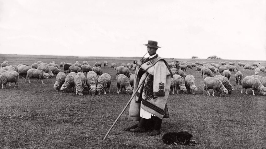 Kvíz kérdést ábrázoló kép.