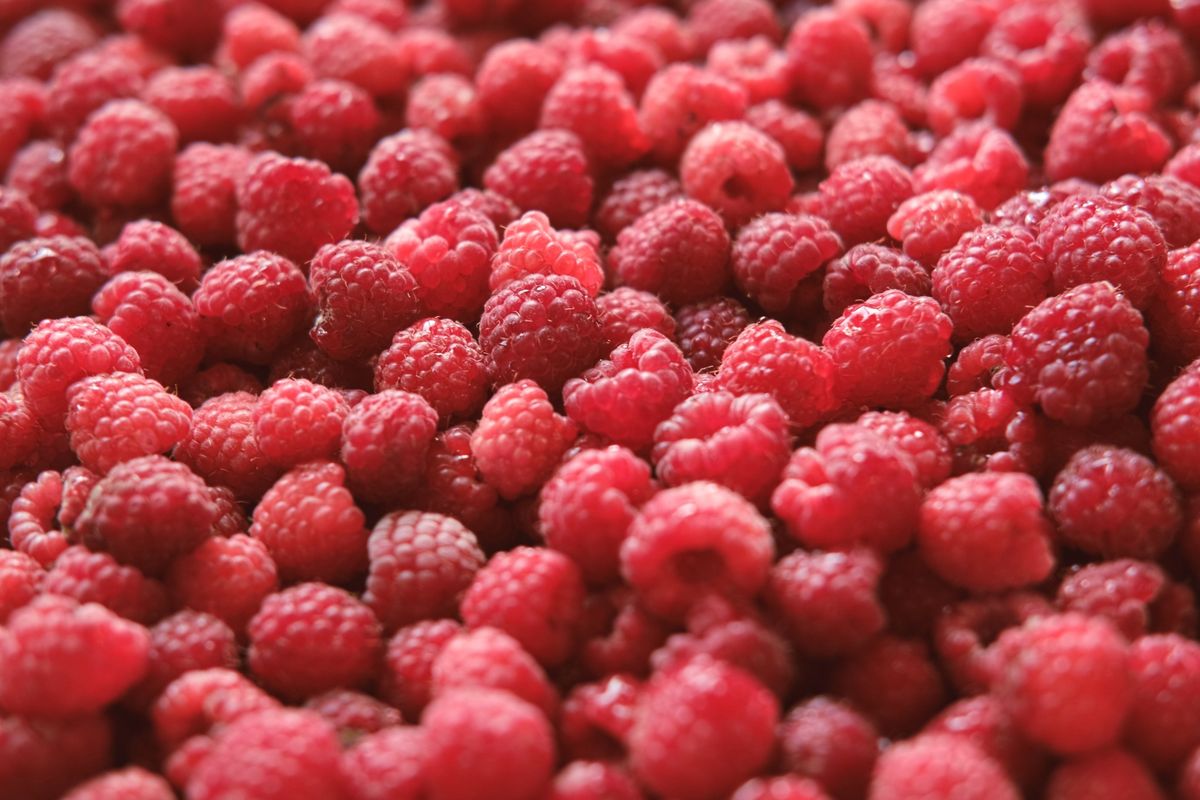 sok málna, ami ehhez a diétás reggelihez is kell