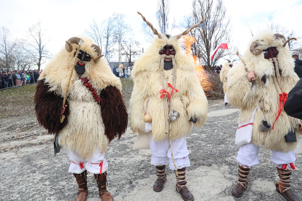 A Mohácsi Busójárás az egyik legjobb farsangi program