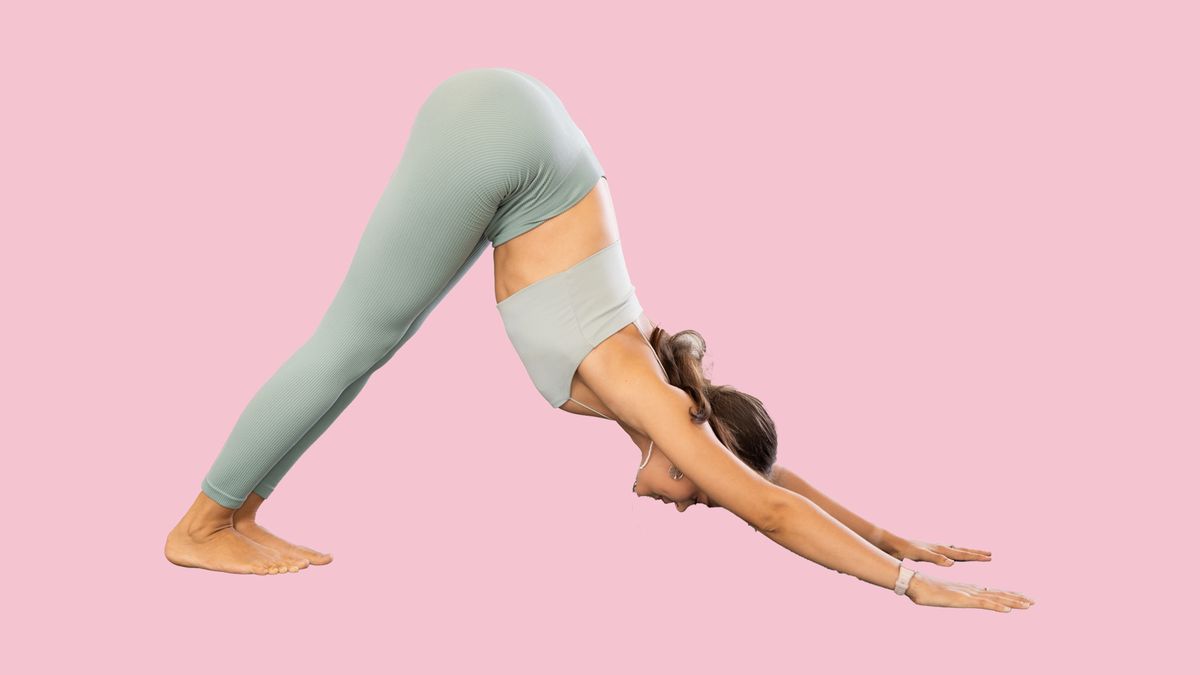 Lefelé néző kutya póz