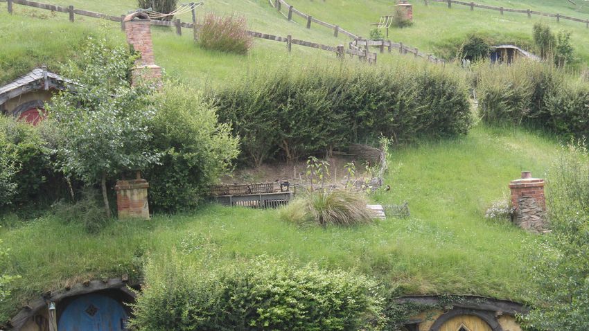 Kvíz kérdést ábrázoló kép.