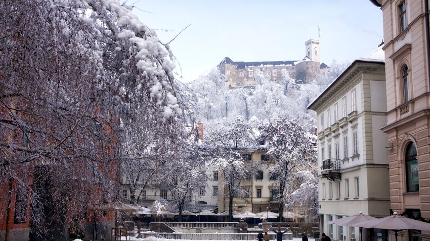 Kvíz kérdést ábrázoló kép.