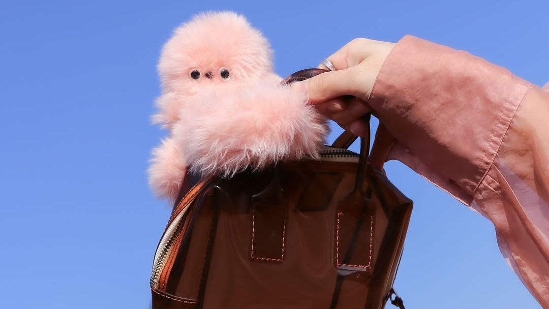 A Mirumi pillanatok alatt belopja magát a fiatalok szívébe