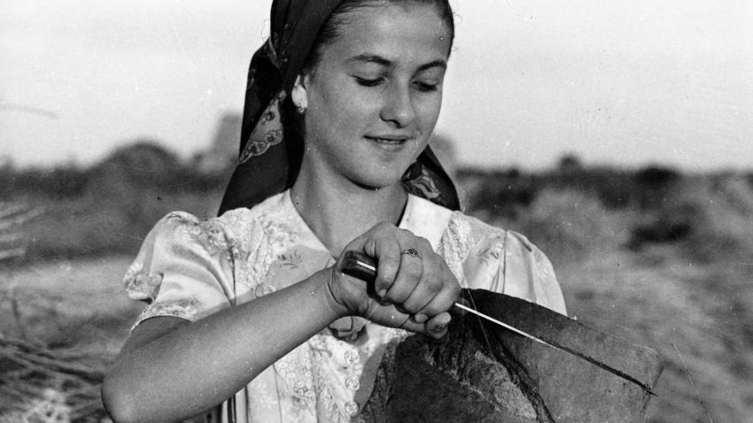 Kvíz kérdést ábrázoló kép.