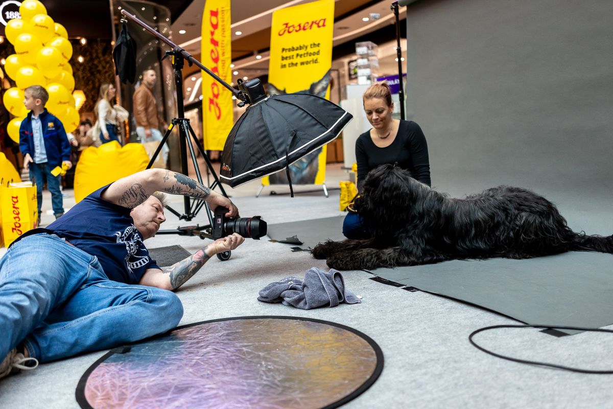Christian Vieler, a kutyafotós fotózás közben 