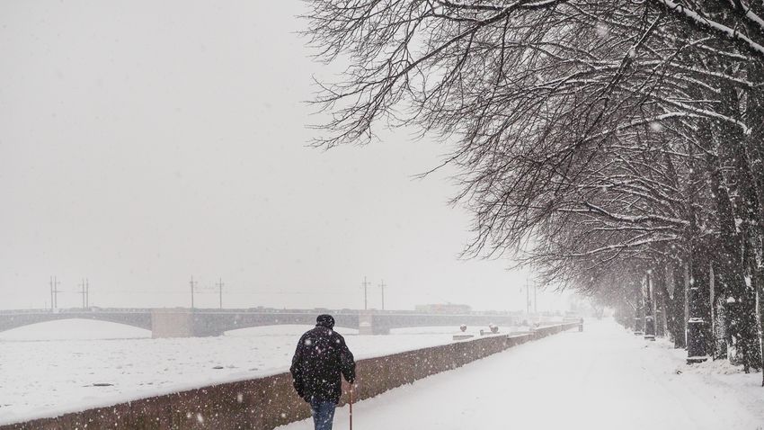 Kvíz kérdést ábrázoló kép.