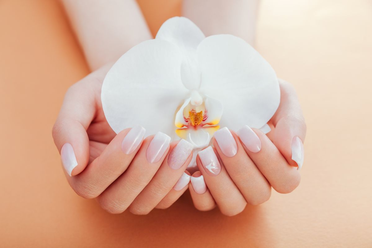 Ombre francia manikűr mint körömtrend a februári körmök cikkhez.  