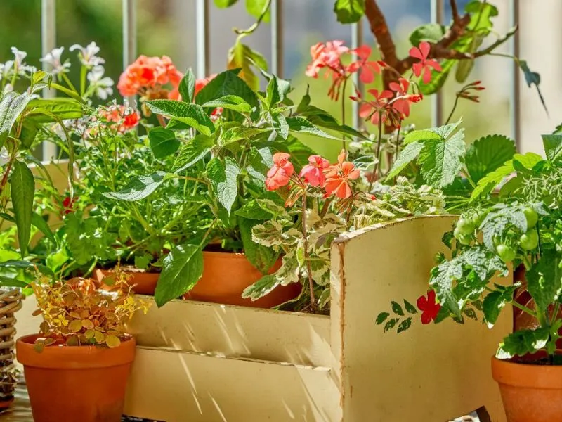 Muskátli virágtartót régi babaágyból is készíthetünk