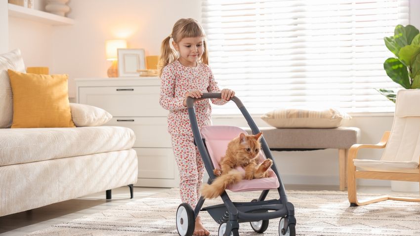 Kvíz kérdést ábrázoló kép.