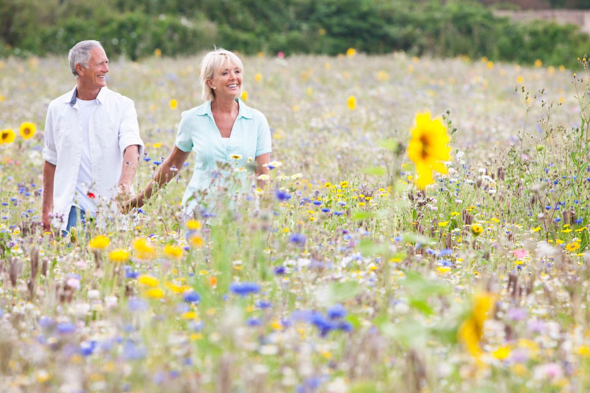 Miért jó a házasság? Mert biztonságot, társat és szeretetet ad egy életen át.