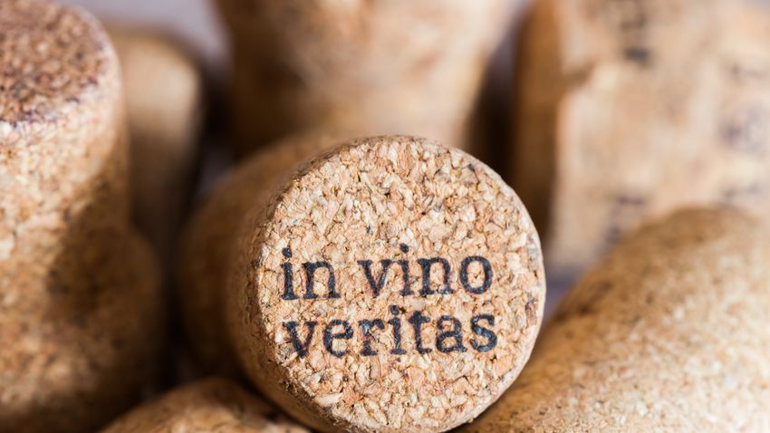 Kvíz kérdést ábrázoló kép.