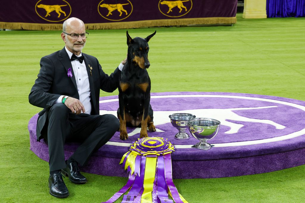 150th Westminster Dog Show