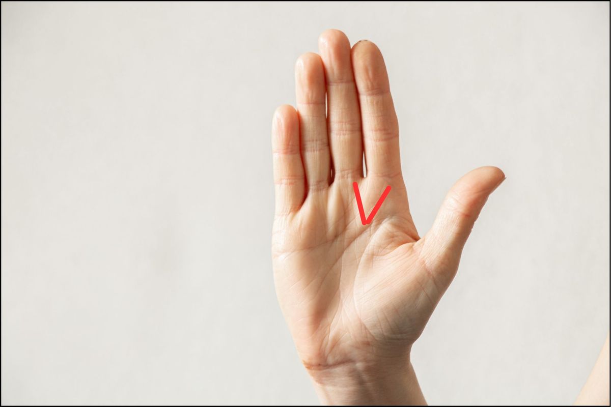 különleges tenyérvonalak