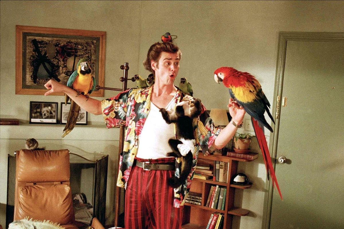 ace ventura filmrészlet - csillagjegy szerint milyen háziállat illik hozzád