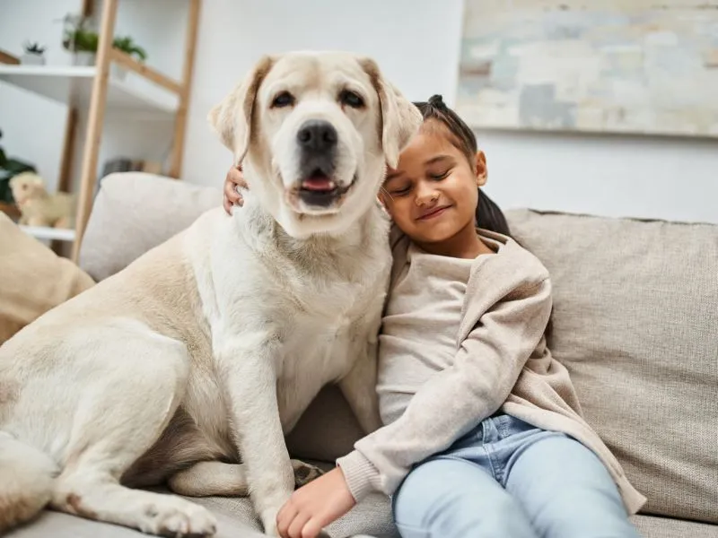 Lakás gyerekkel és kutyával? Ezek a természetes anyagok tartós megoldást jelentenek!