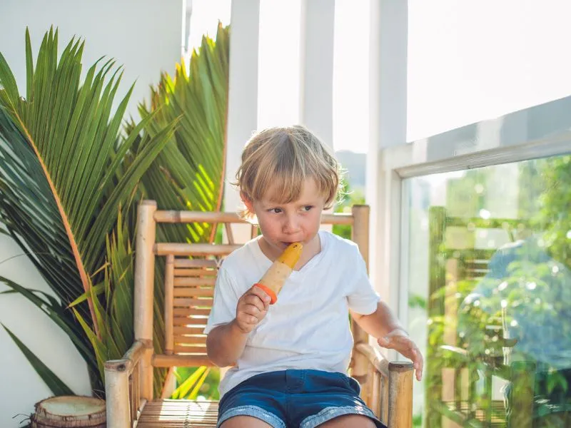 A fagylalt házilag is elkészíthető, olcsóbb, egészségesebb