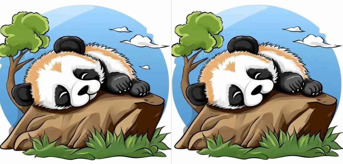 Panda rejtvény, IQ-teszt