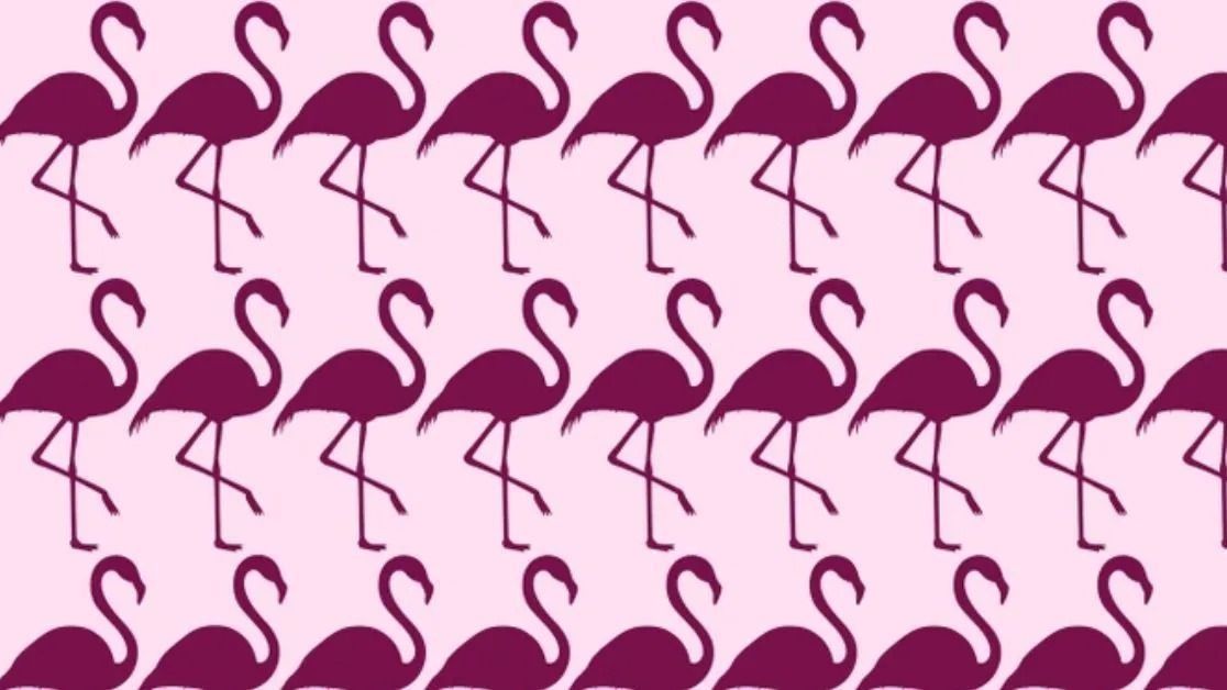 Optikai illúzió IQ-teszt