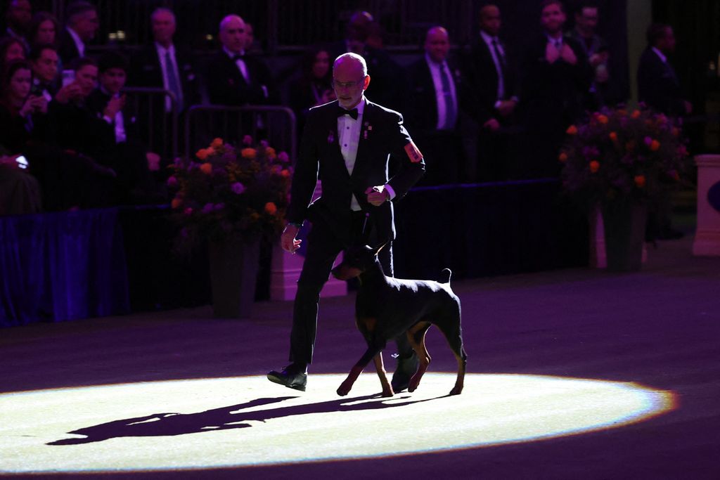 150th Westminster Dog Show
