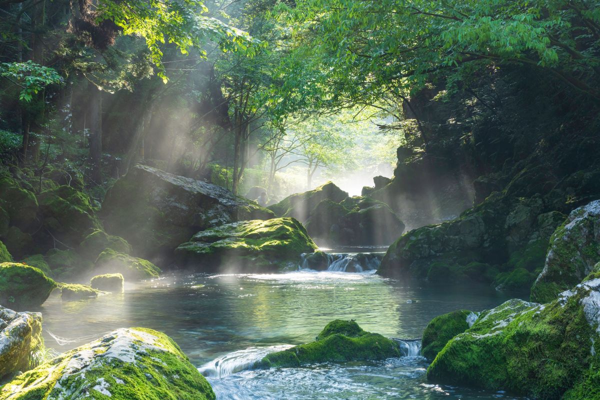 A kert végében egy vízhez érsz. A felszínen fény csillan, a túlparton már látszik az út, amely hazavezet.