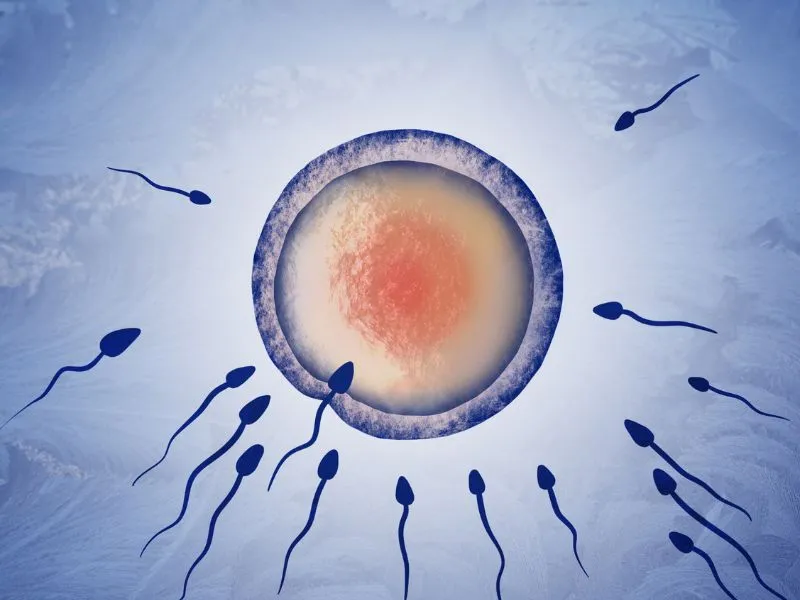 Meddőség kezelése már lehetséges mesterséges intelligencia segítségével