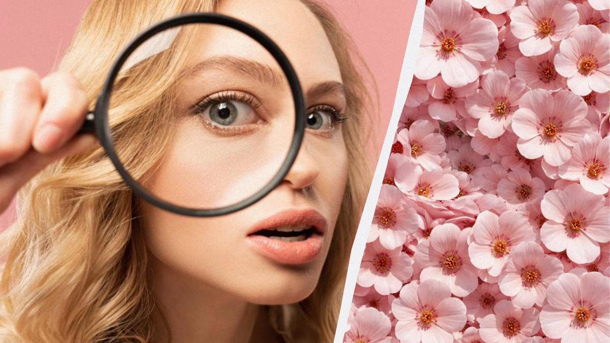 Nyuszis ingyenes IQ-teszt