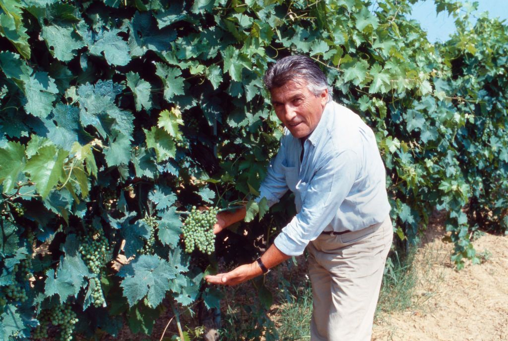 lamborghini sportautó születése