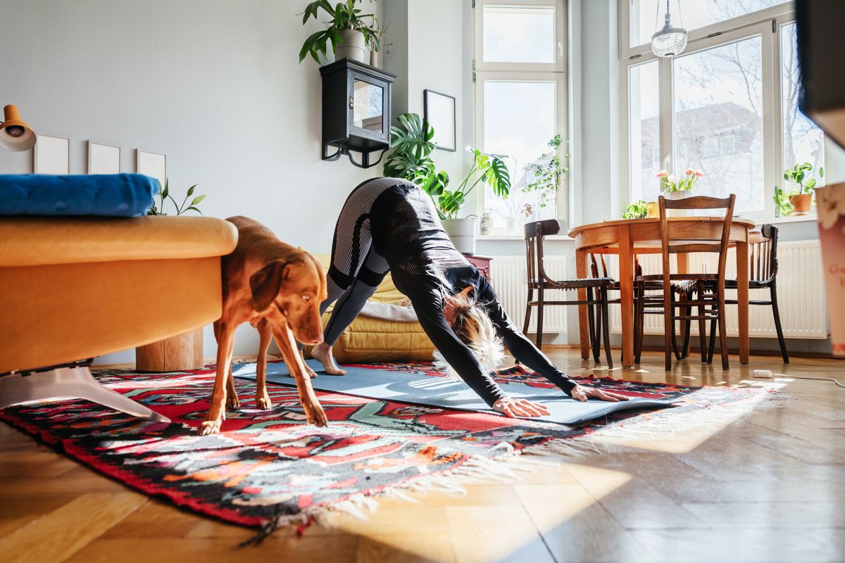 Állatbarát csillagjegyek: egy nő jógázik a kutyájával a nappaliban.