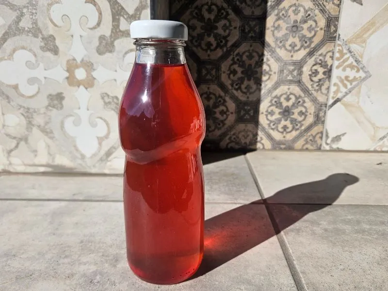 A bodzaszörp házilag mindenki kedvence lett