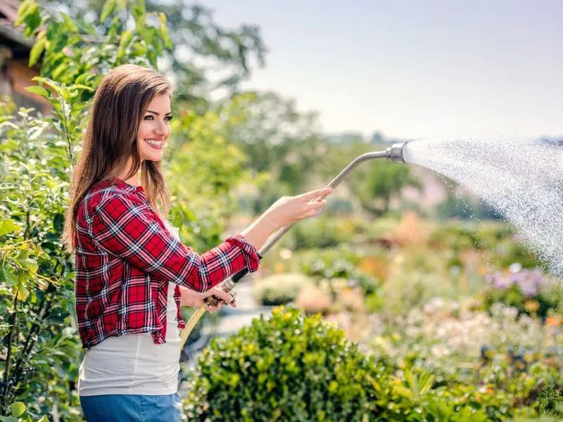 Locsolás hőségben csak hajnalban vagy este: így a növények is fellélegezhetnek, a vízszámlád pedig nem száll el