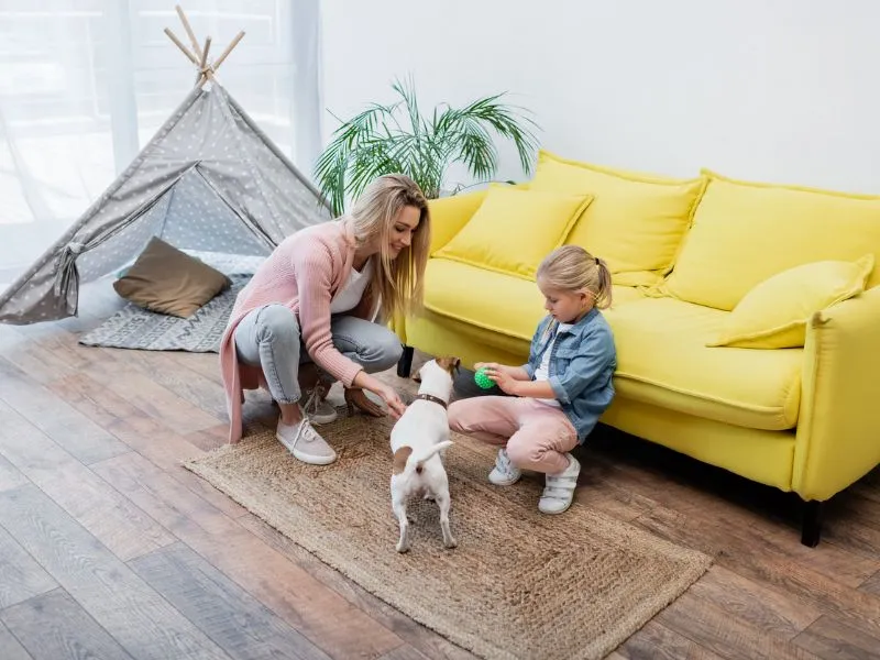 Strapabíró természetes anyagok, amik túlélnek egy gyereket és egy kutyát is