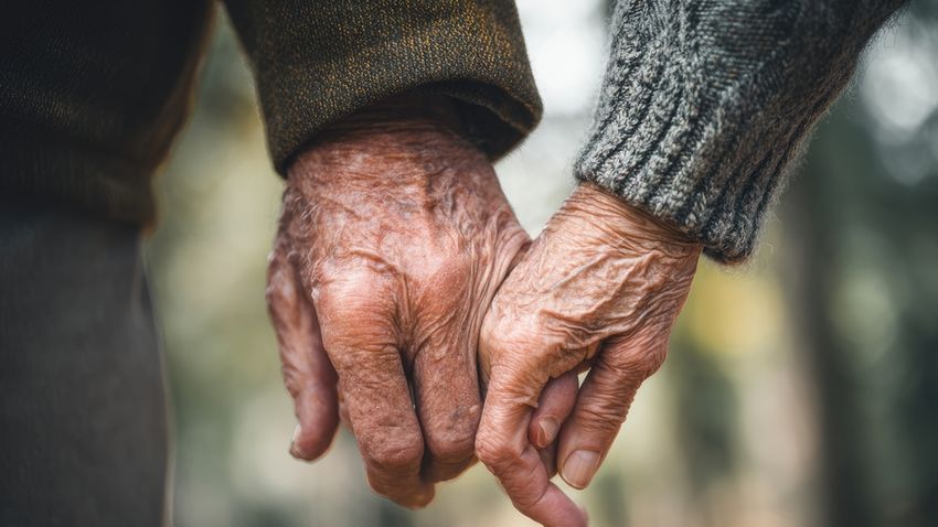 Kvíz kérdést ábrázoló kép.