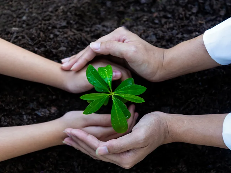 Környezettudatos nevelés egyszerűen