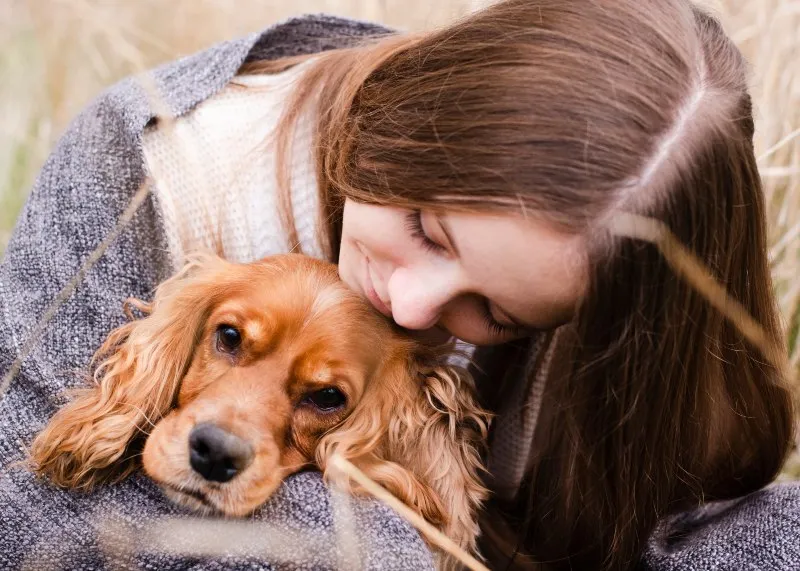 Kutyák és macskák pszichológiája