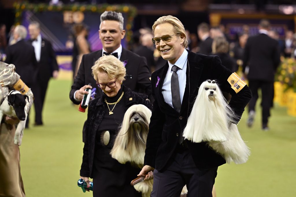 150th Westminster Dog Show