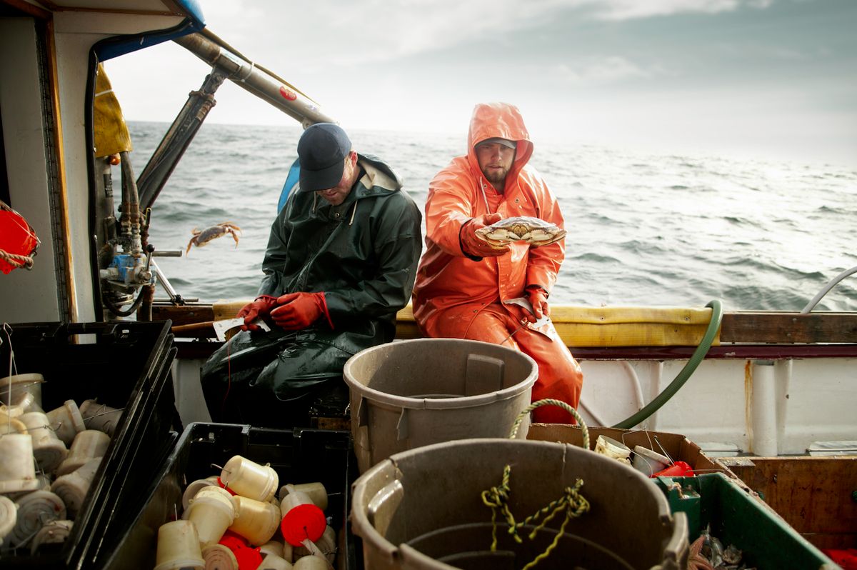 A világ legveszélyesebb munkájának tartják a rákhalászatot, amelyet a Halálos fogás című sorozat is bemutatott