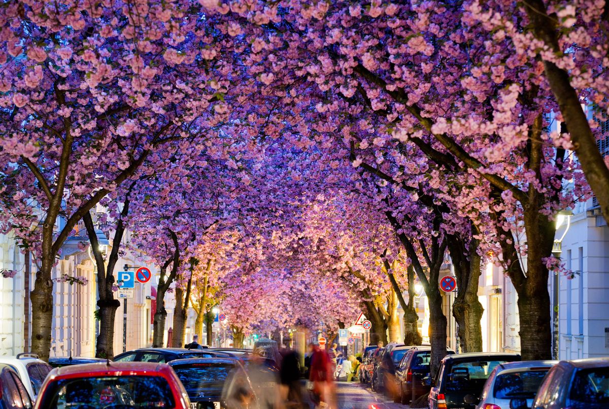 Heerstrasse, a német Bonn városában