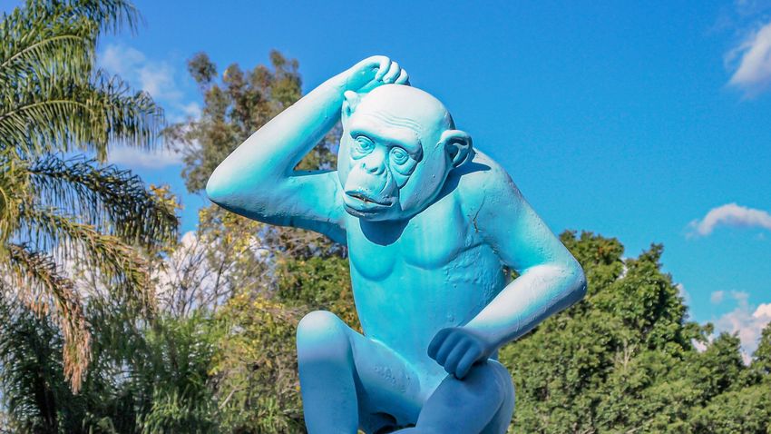 Kvíz kérdést ábrázoló kép.