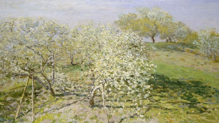 Kvíz kérdést ábrázoló kép.