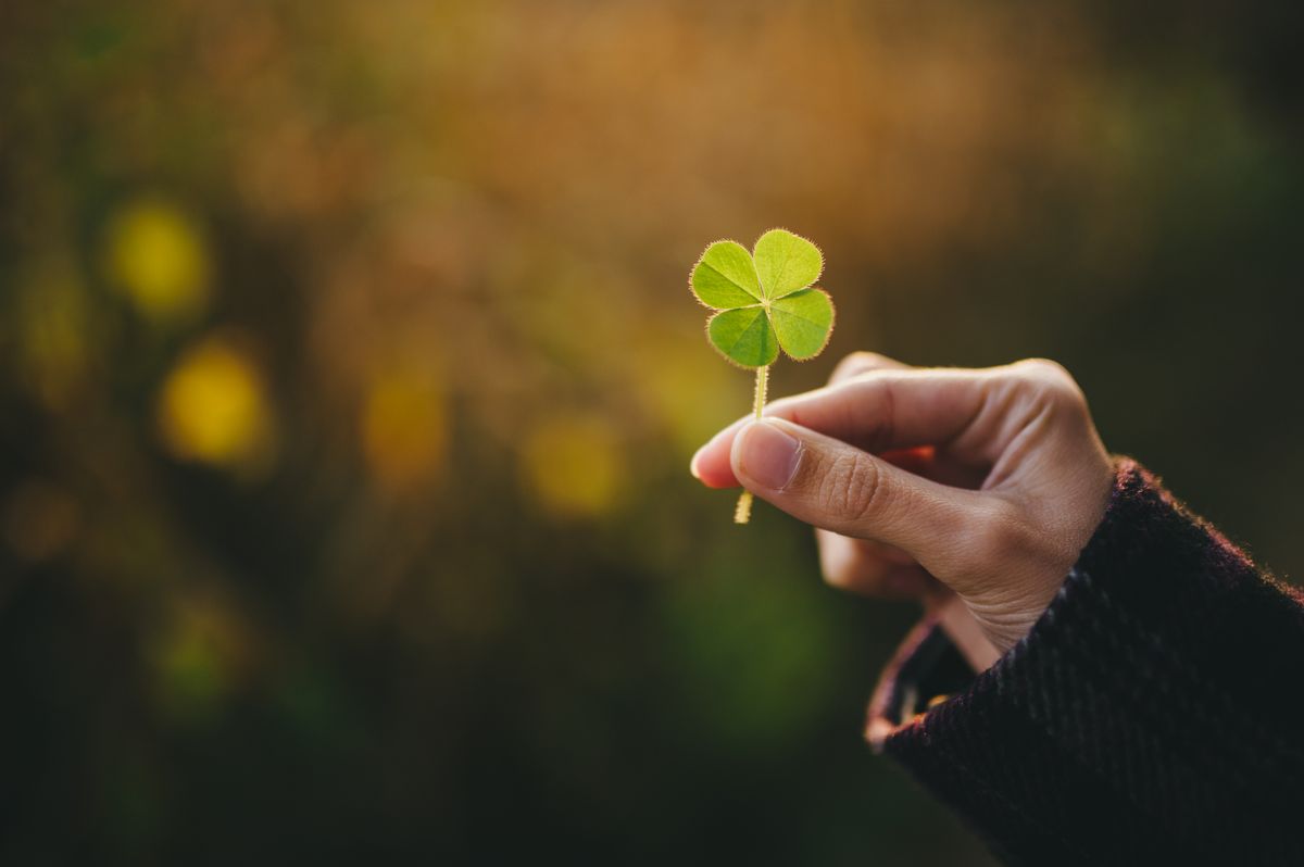 A négylevelű lóhere már a kereszténység előtti pogány korszakban a szerencse szimbóluma volt.